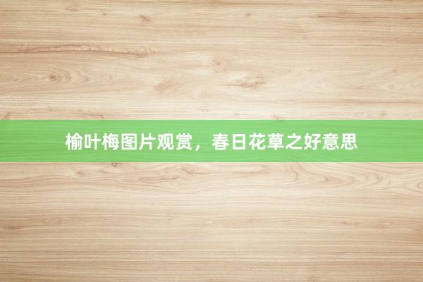榆叶梅图片观赏，春日花草之好意思