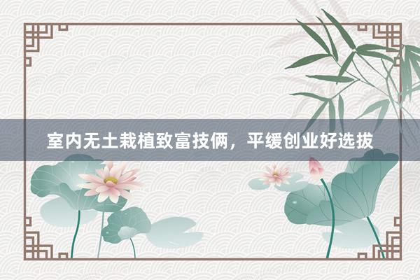 室内无土栽植致富技俩，平缓创业好选拔