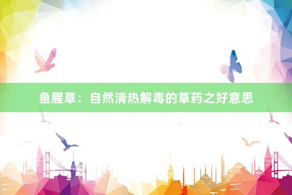 鱼腥草：自然清热解毒的草药之好意思